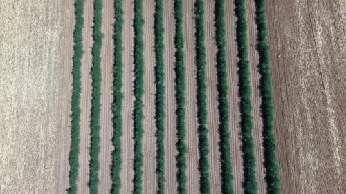 DJI_20260706152638_0008_D.JPG